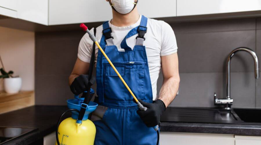 Why choose Weatogue for bee hive relocation in Weatogue